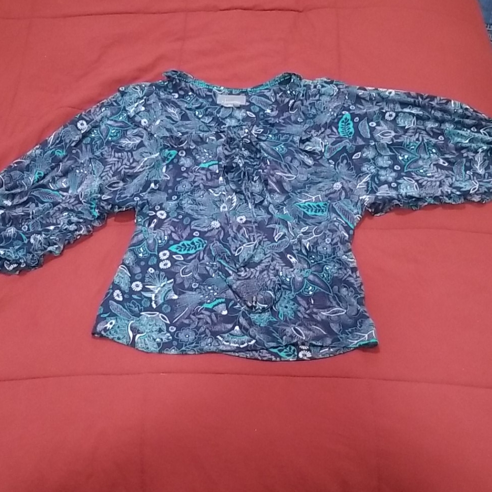 Sheer anthropologie blouse